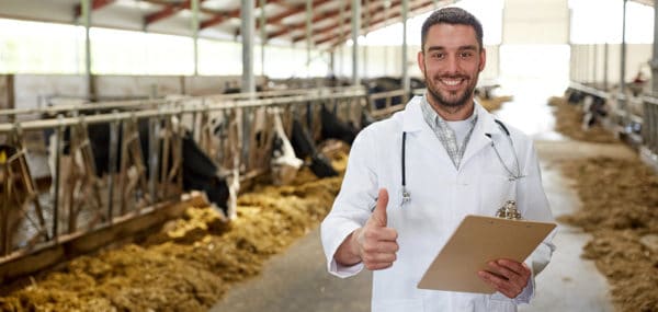 agriculture industry, farming, people and animal husbandry concept - veterinarian or doctor with clipboard and herd of cows in cowshed on dairy farm showing thumbs up hand sign